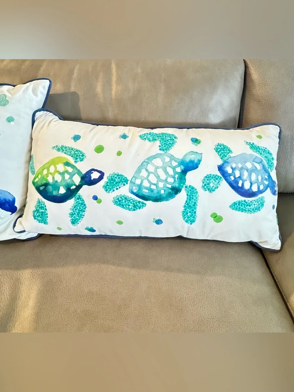 Set of 2 Pottery Barn Teen Sea Life Pillows